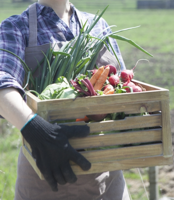 LPK JULIAN INDONESIA IWATE日本語学校