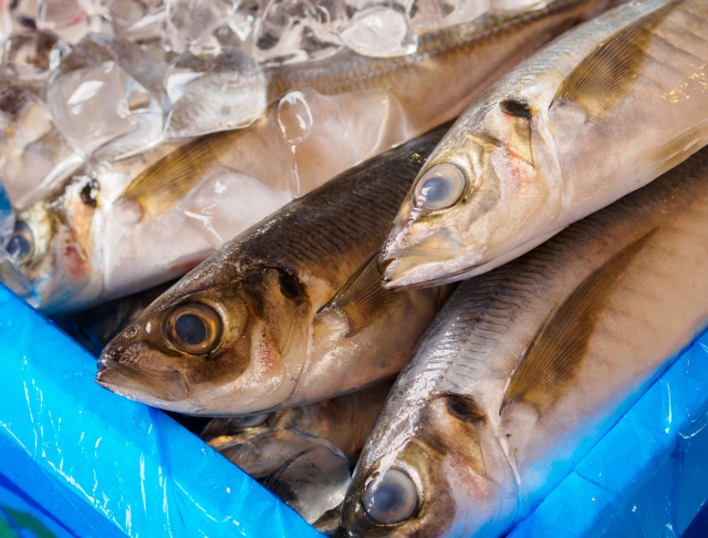 LPK JULIAN INDONESIA IWATE日本語学校